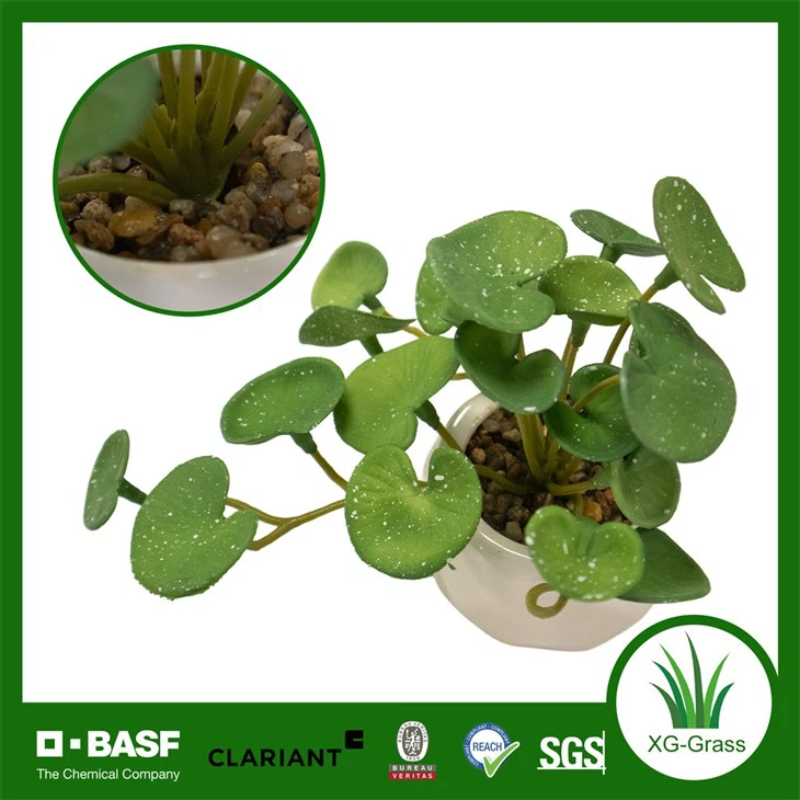 Xingu Realistic Faux Succulent Arrangements For Indoor And Outdoor Spaces factory