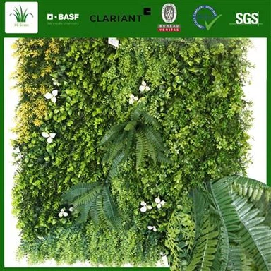 Pjanti tal-Ħitan Aħdar