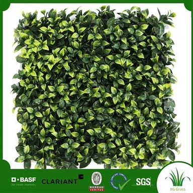 Ħajt tal-Pjanti ta 'ġewwa