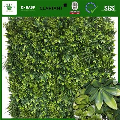 Ħajt Aħdar Vertikali