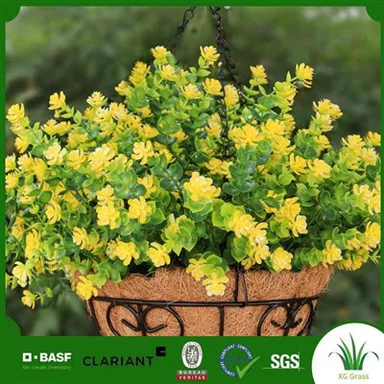 Fjuri Foloz ta' Barra