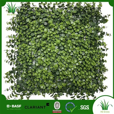 Ħajt tal-Pjanti tad-Dar