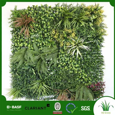 Ħajt tal-Pjanti Mdendlin fuq ġewwa