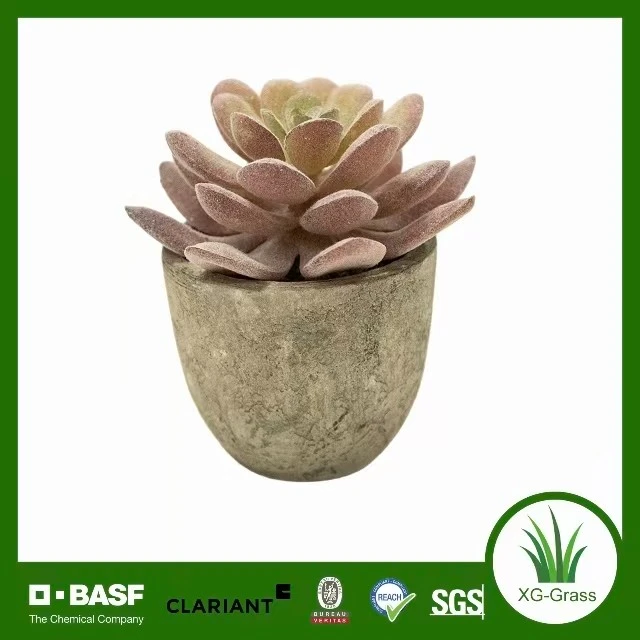 Unfading Mini Succulent Decor high quality