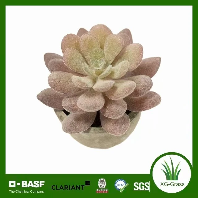 Unfading Mini Succulent Decor suppliers