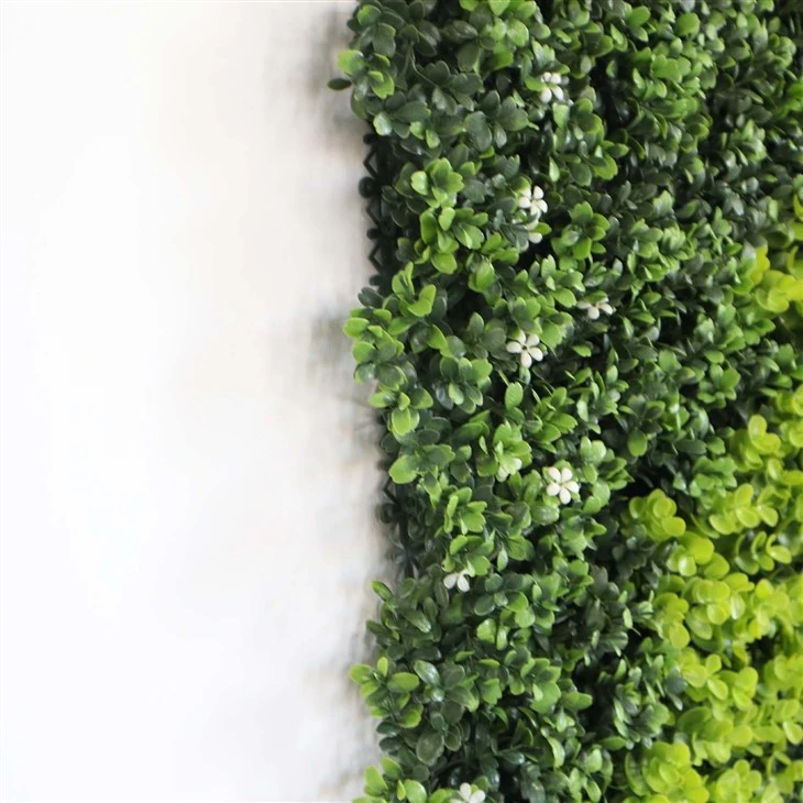 Vine Wall Indoor