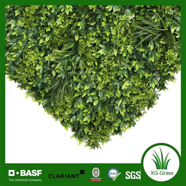 Indoor PE Wall Grass Wholesale best