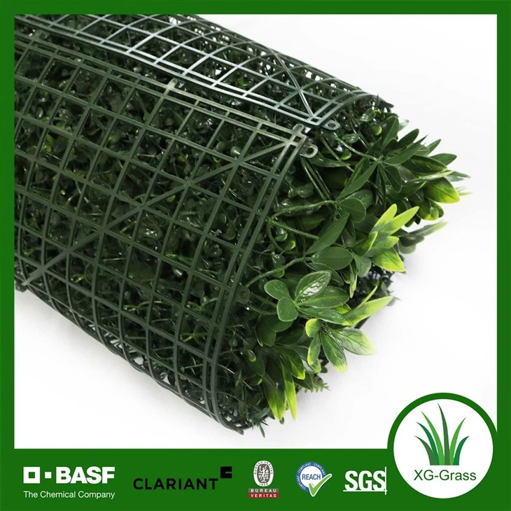 Indoor PE Wall Grass Wholesale suppliers